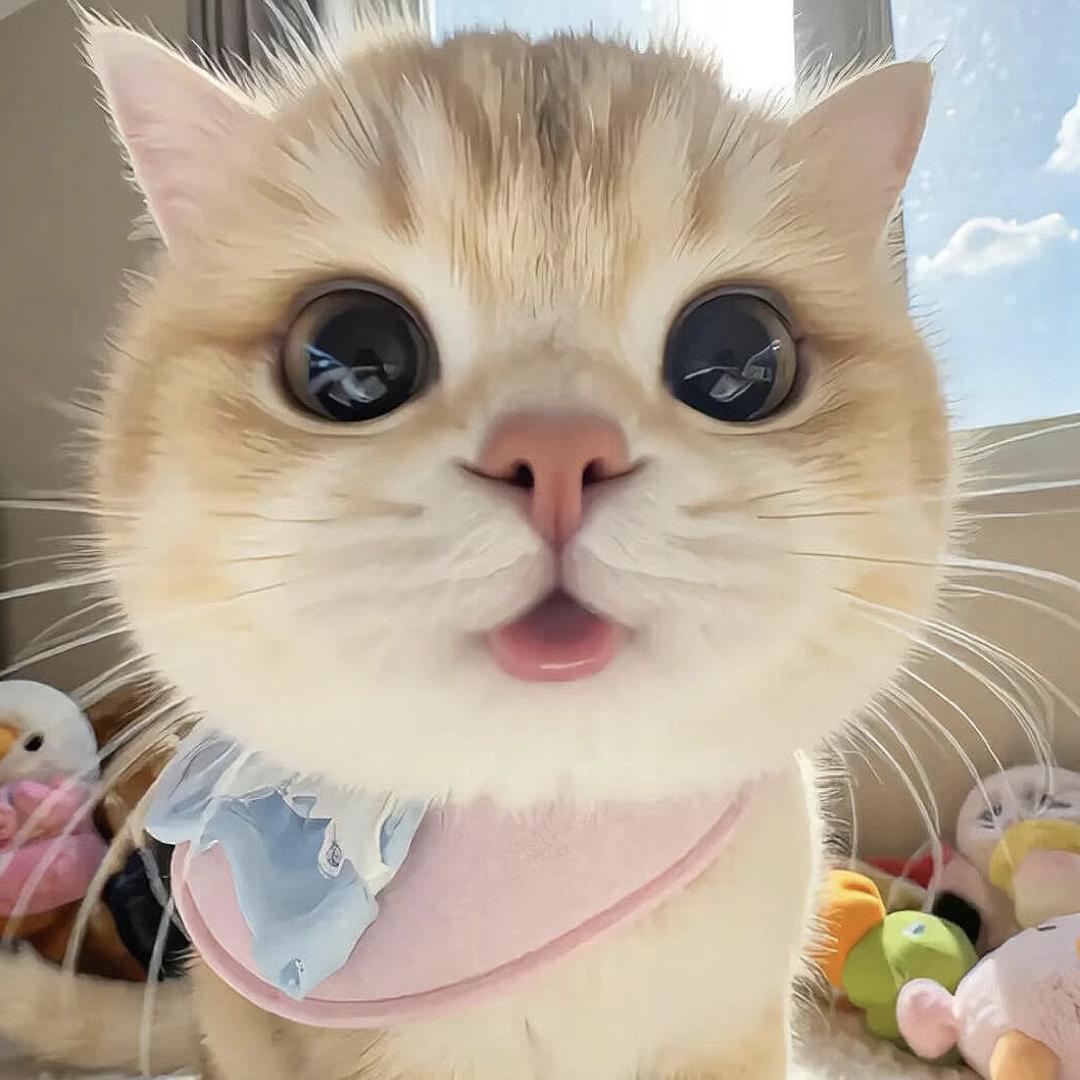 Cinta.