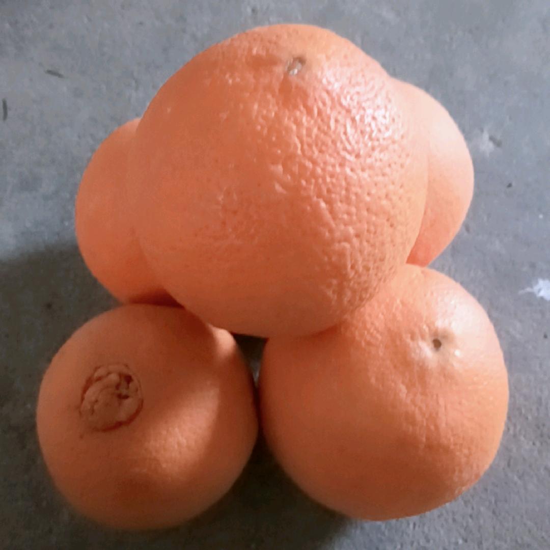 好运来！🌹🌹