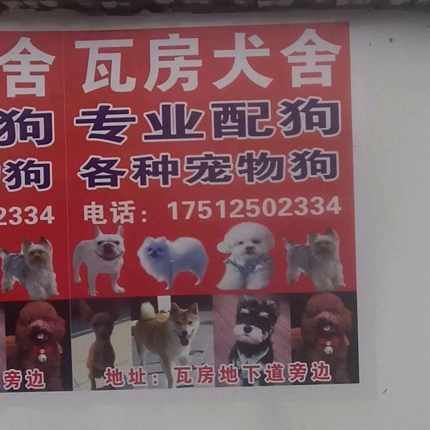 黄口镇瓦房犬舍，专业配宠物狗，各种宠物狗