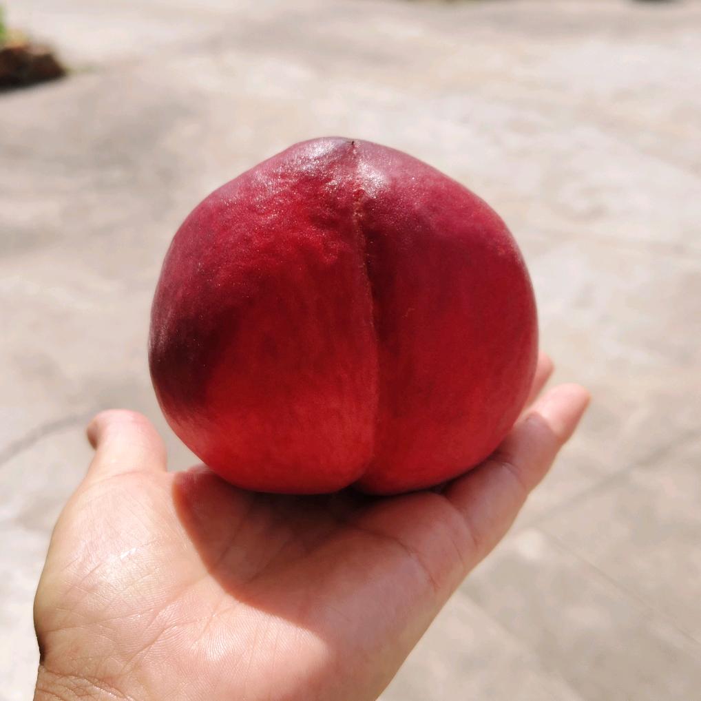 雾非雾丶╮の迷惘