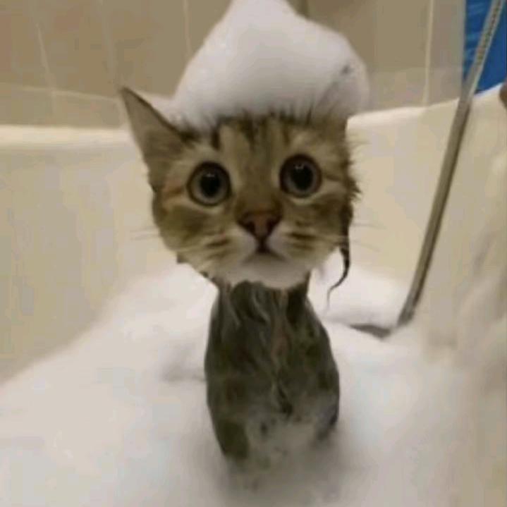 mimi头像