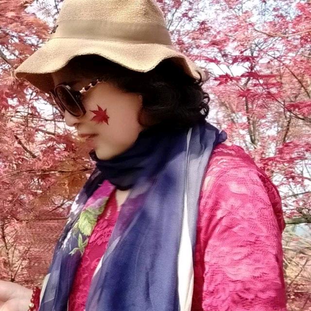 玉兰花