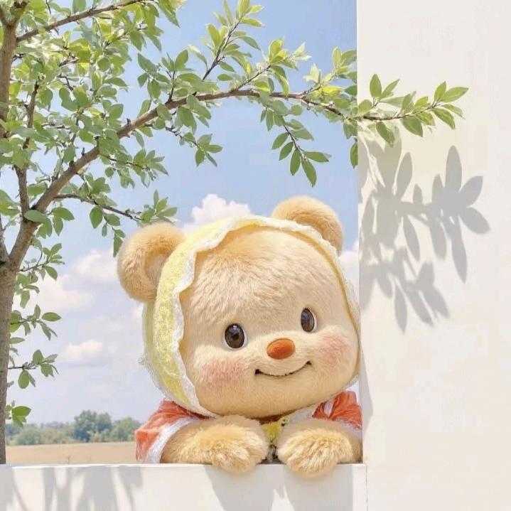 邮一碗月光