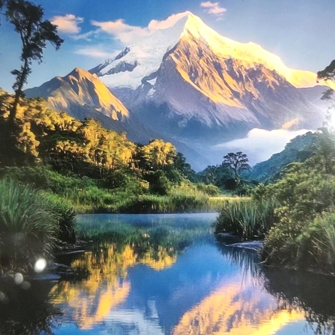 禅悦居士