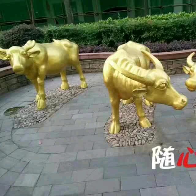 只有你在我心里