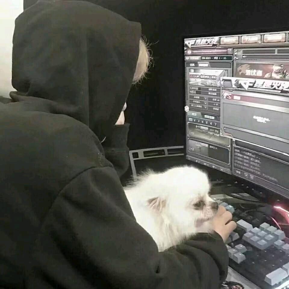 ￴￴ ￴￴ ￴ ￴￴