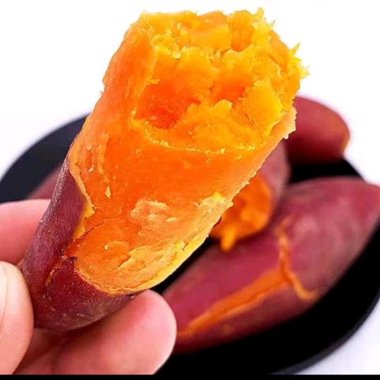 西瓜红蜜薯