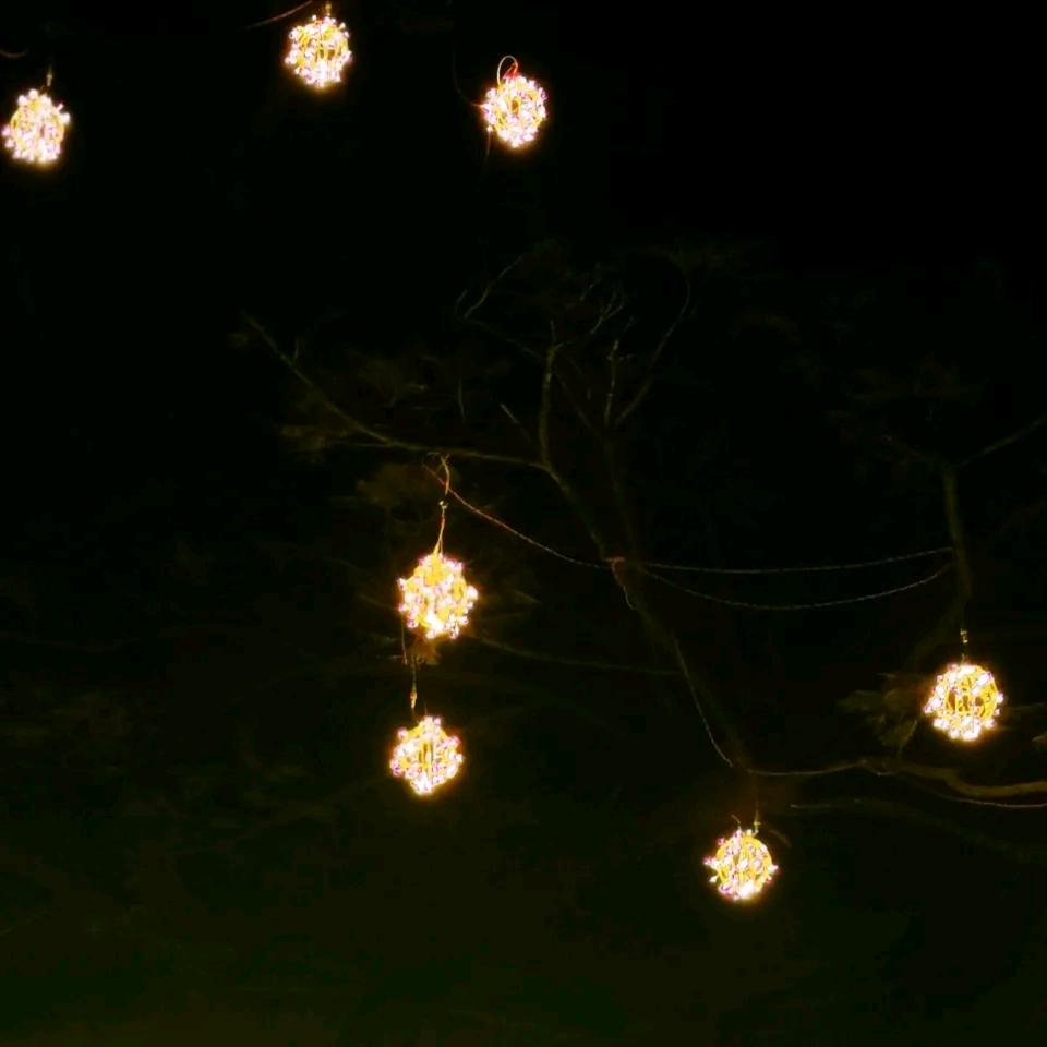 一闪一闪亮晶晶❤️