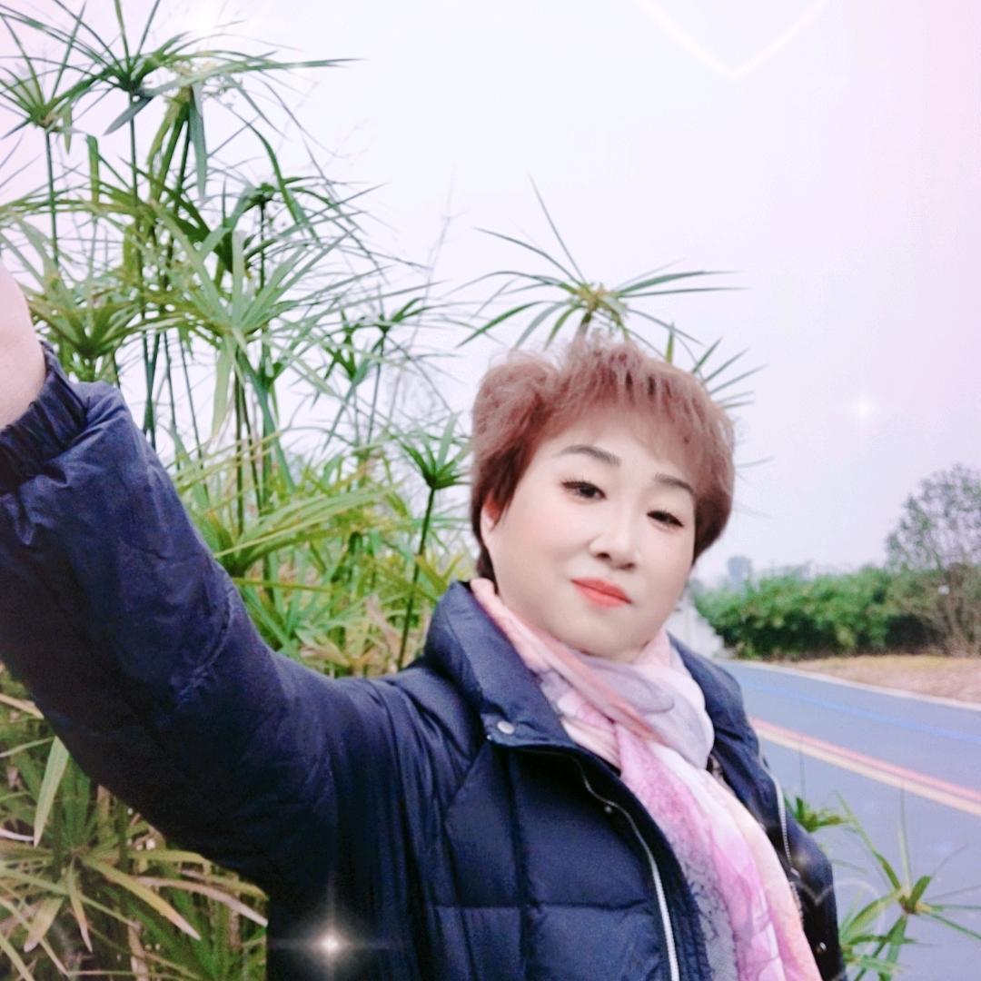 四川英姐(播首筹备中)