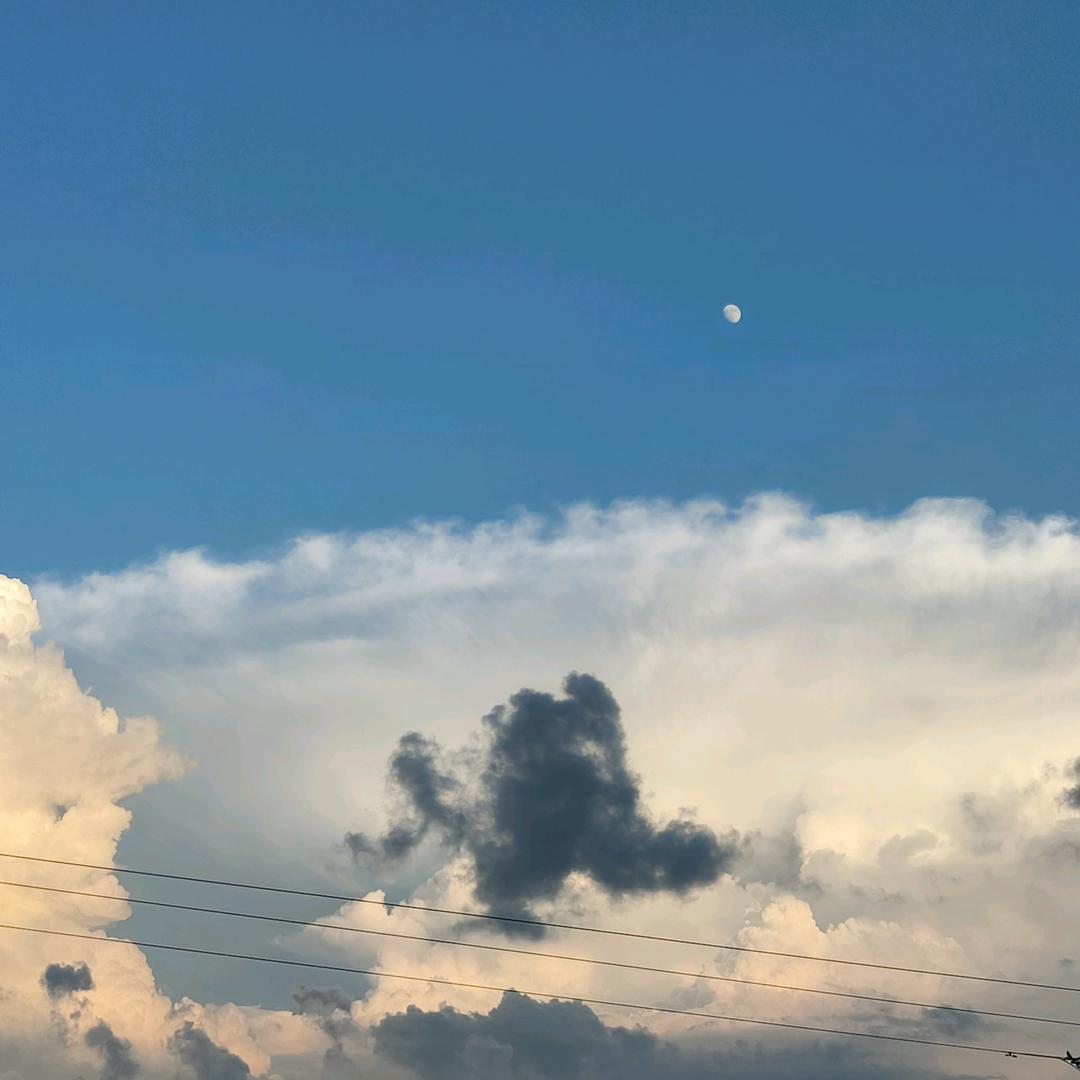 此生有你