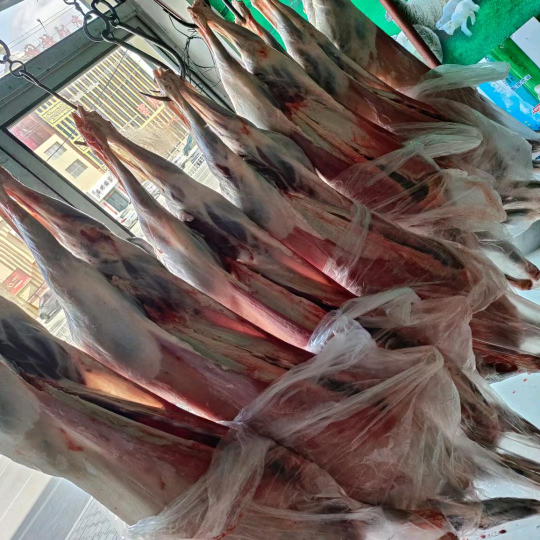 草原小靳