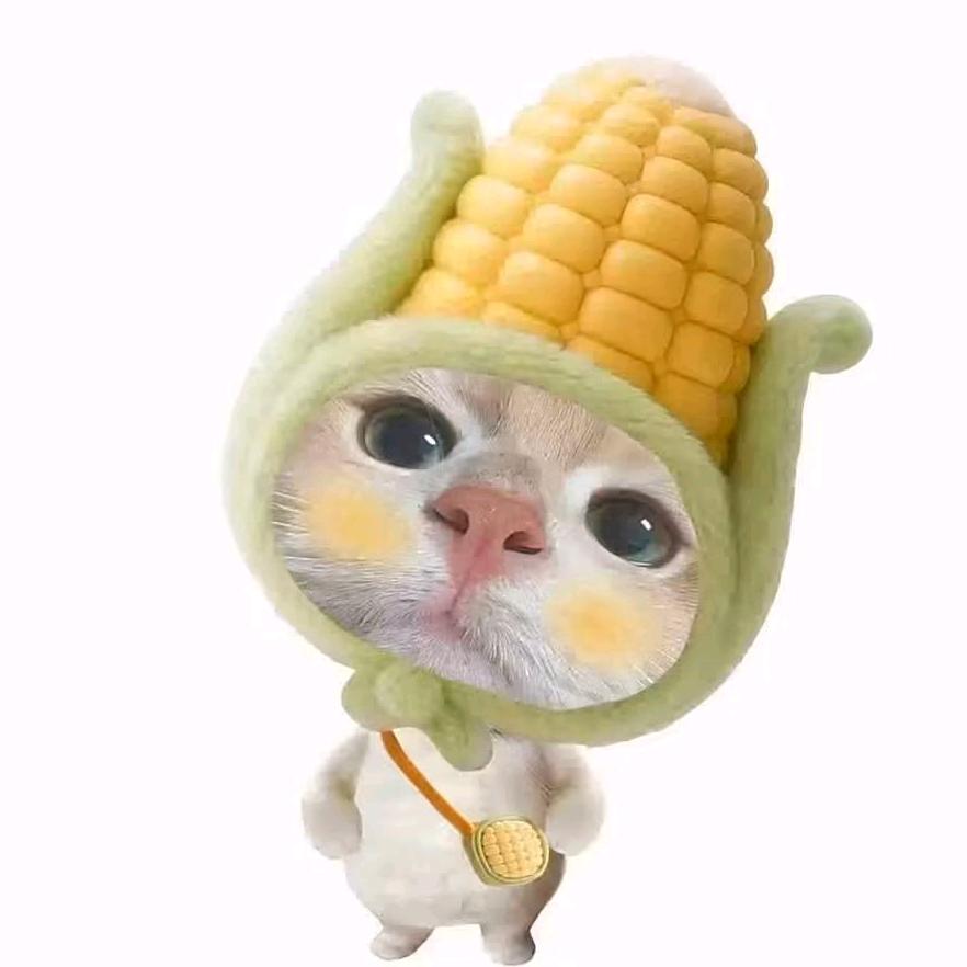 排位全勤被打爆