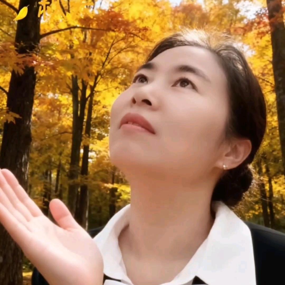 🙋🌹一帆风顺🍀💞💞