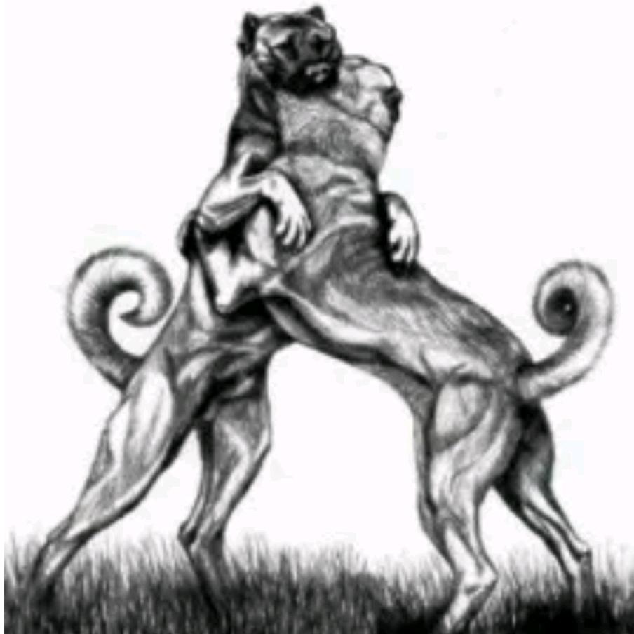 F3猎狼俱乐部    MR