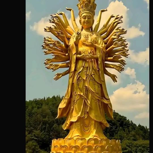 刘宏冉雏鸡青年鸡