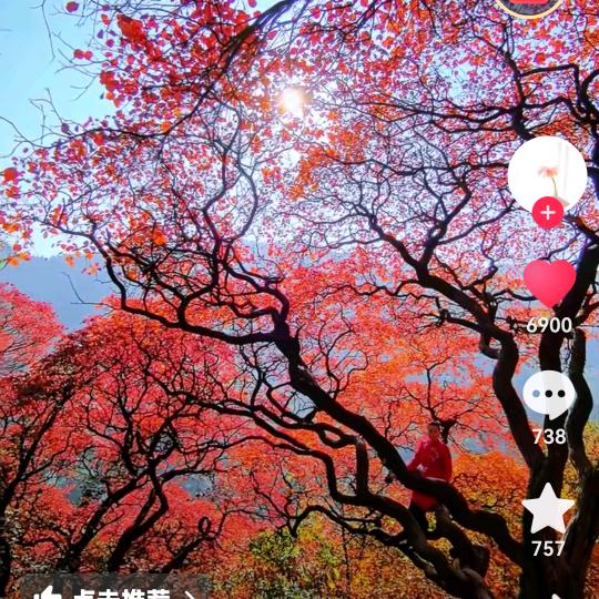 镜写春秋