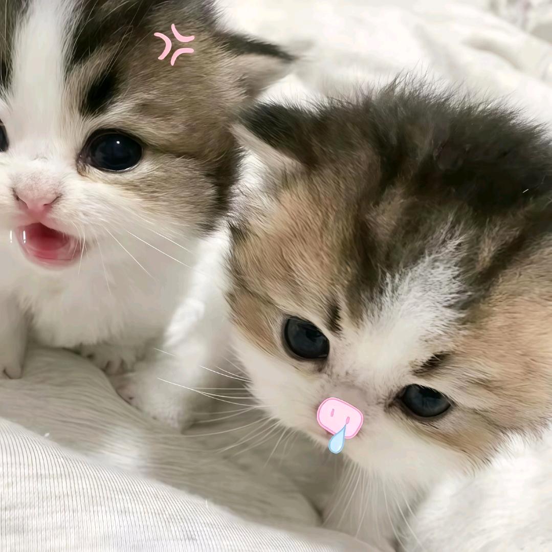 江南..