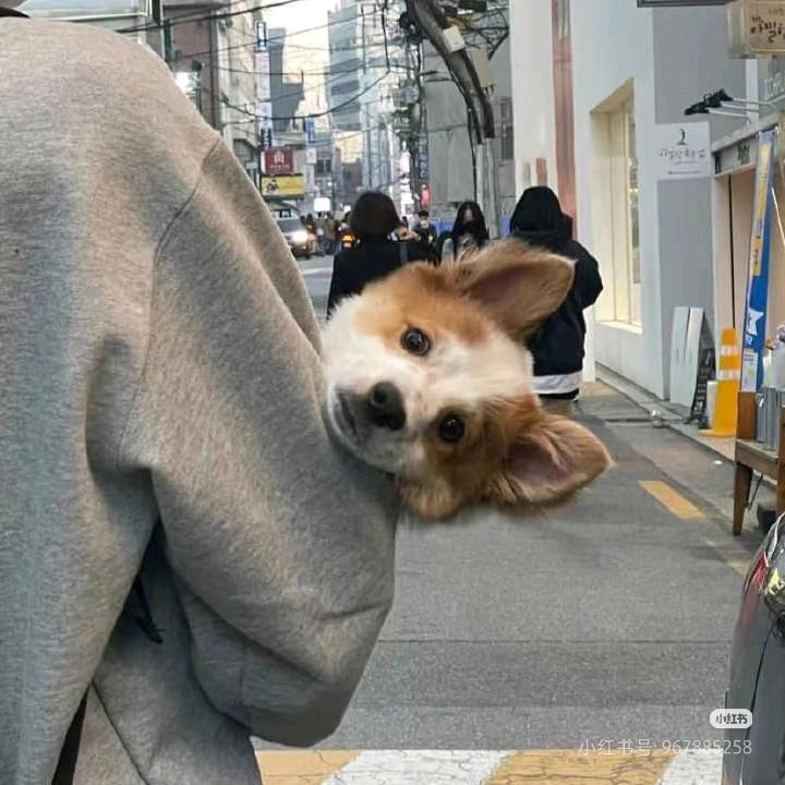 雾以泪聚