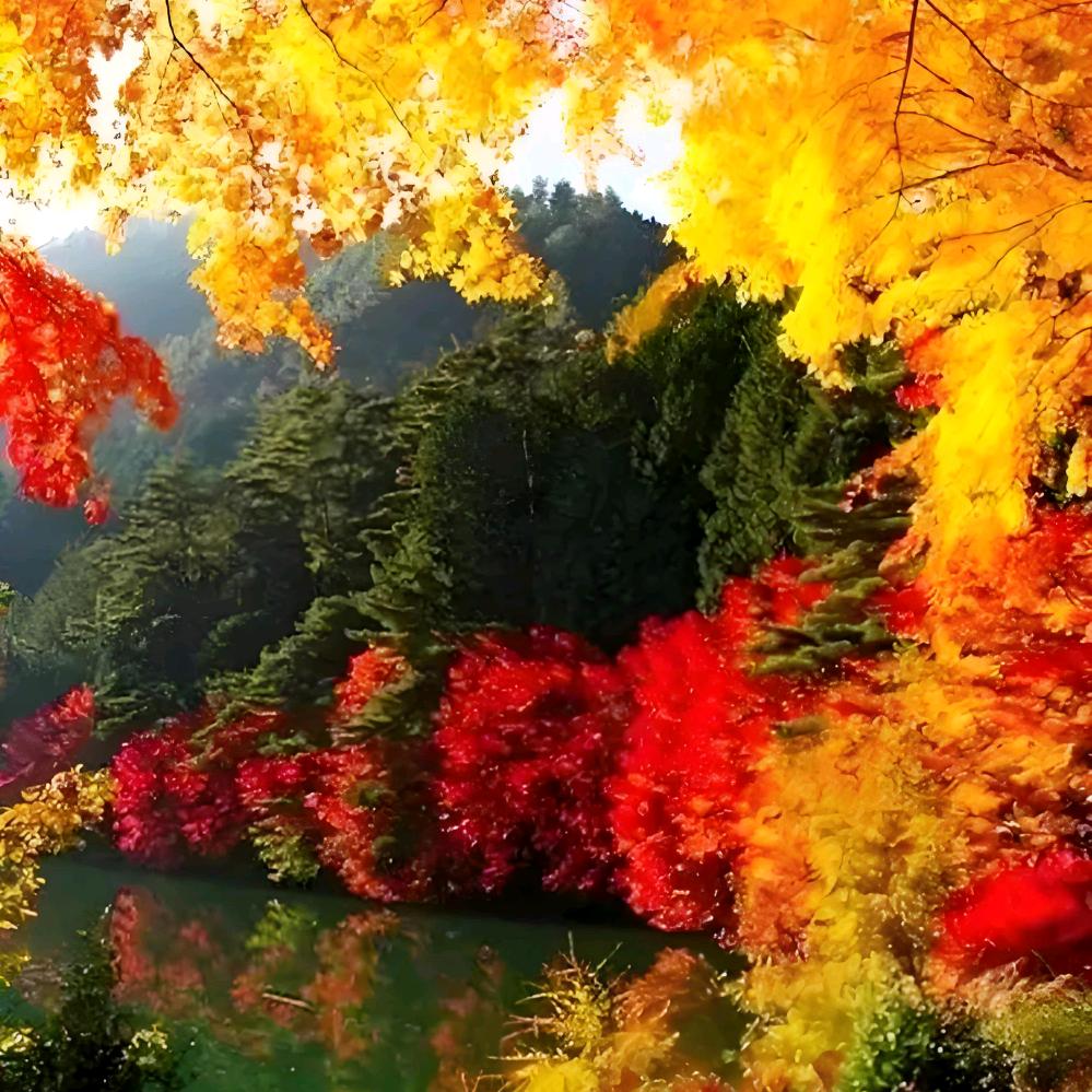 永生花&不哭头像