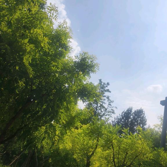 💕ꦿ҉好ᨶ႒ᩚ运ᥫᩣ໌້ᮨ加满✨