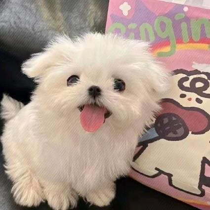 追追追追追