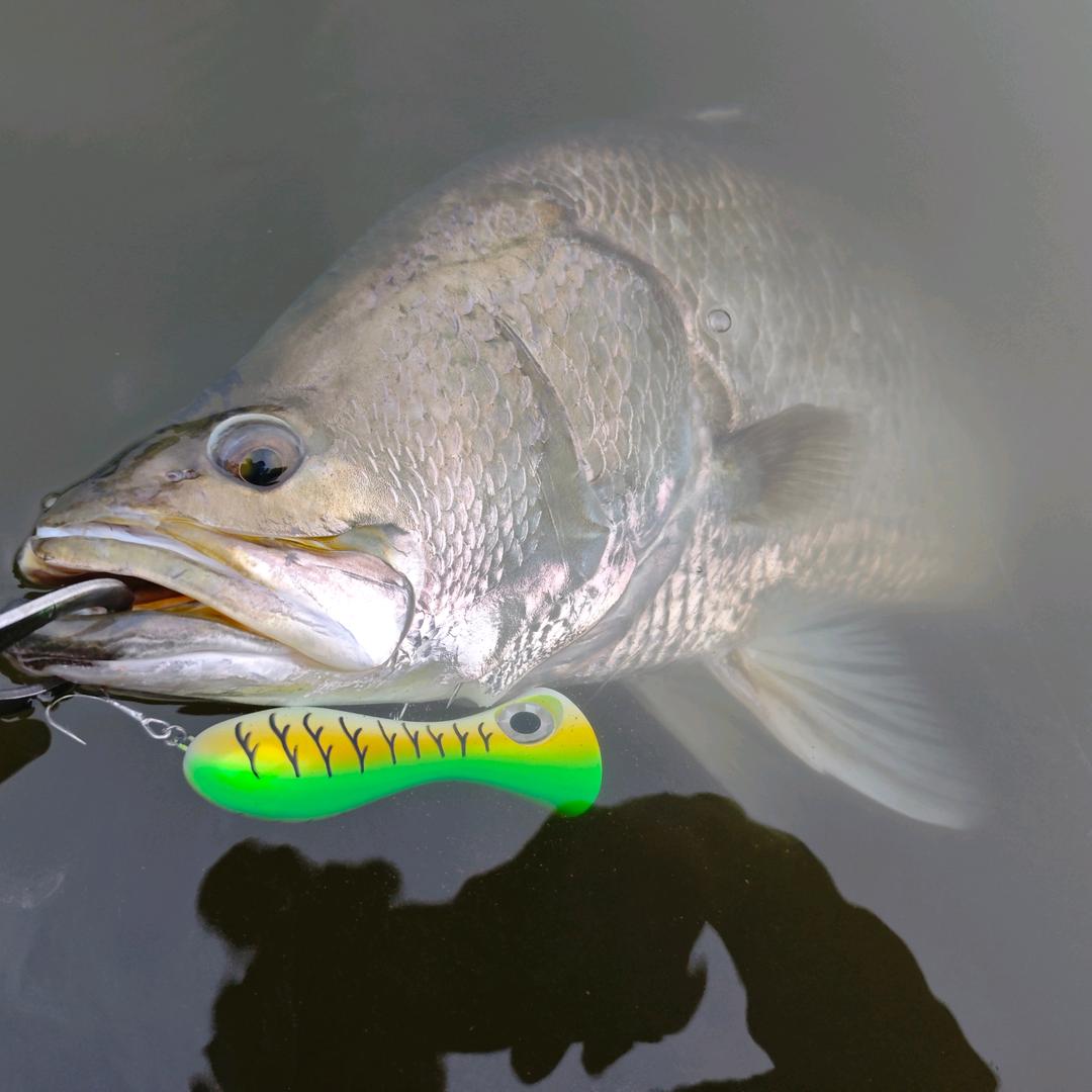 微溪路亚🎣