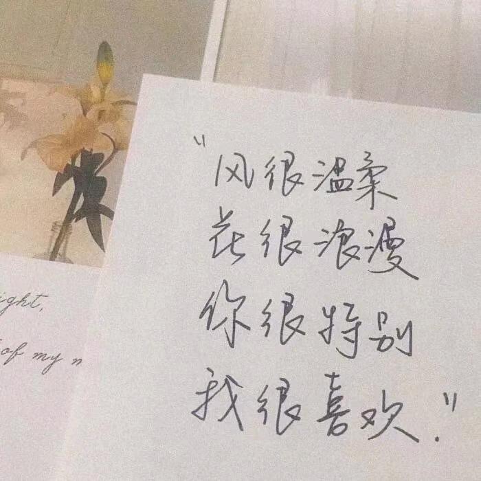 你的告白