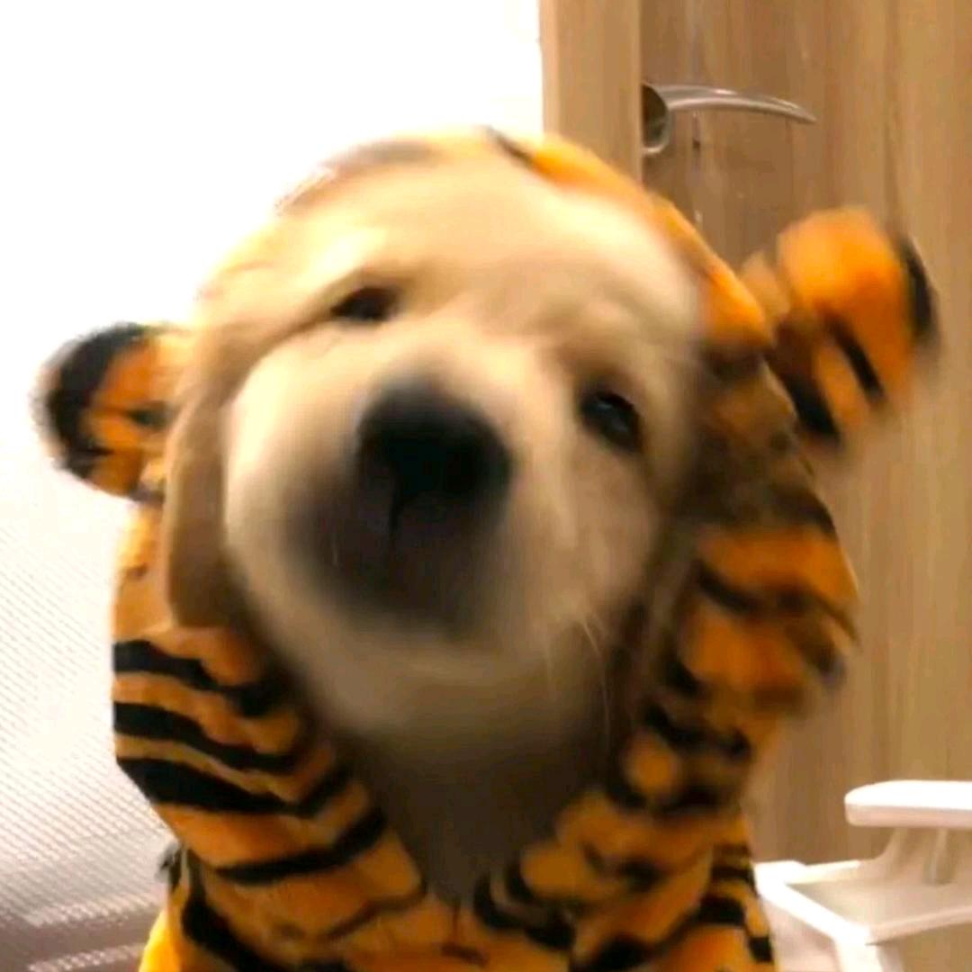 Hold得柱