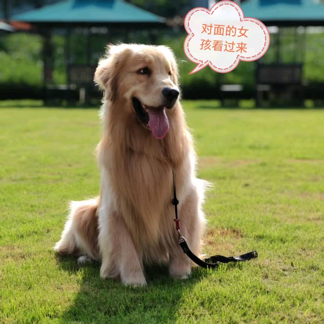 嬷嬷～回来了🔆