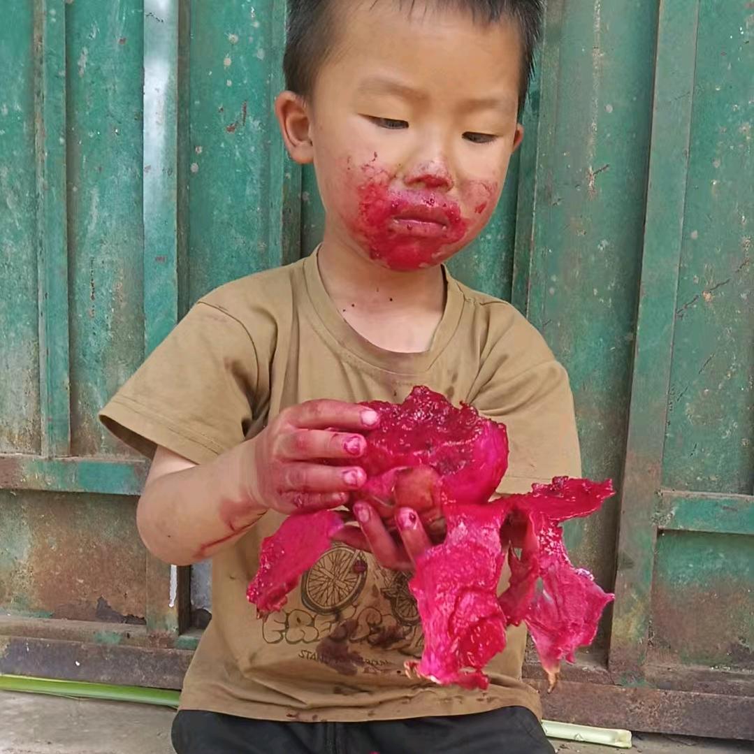 辞过往