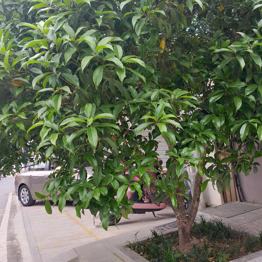 山好水好