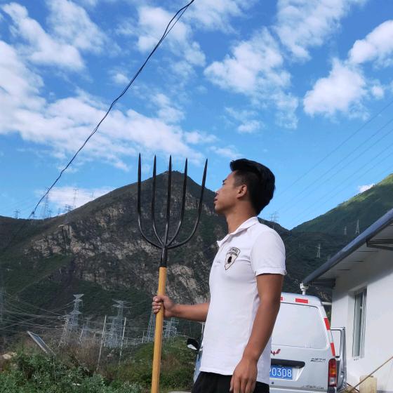 涂园掌很忙🌵