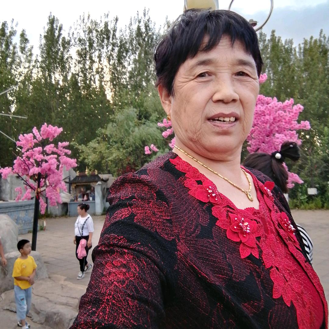 傻傻的我