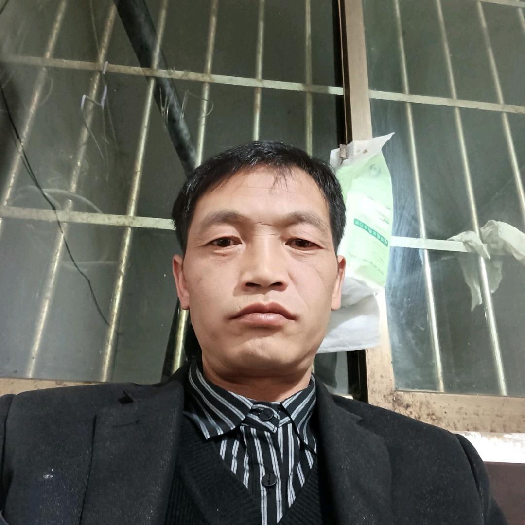 钢管架搭设，出租出售