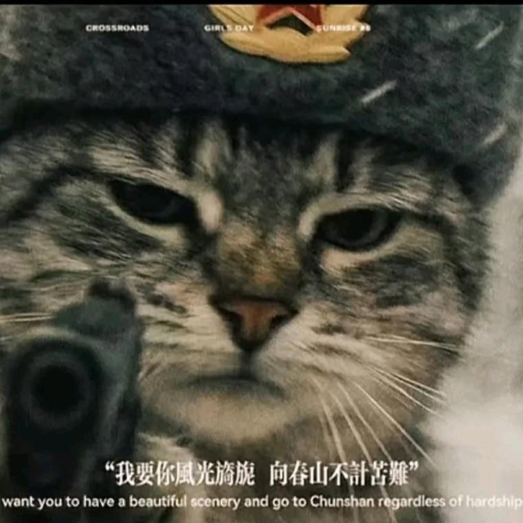 北ssss