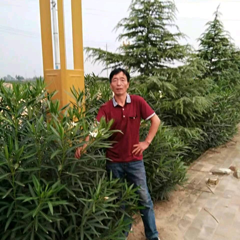 我很爱你，华山北站，