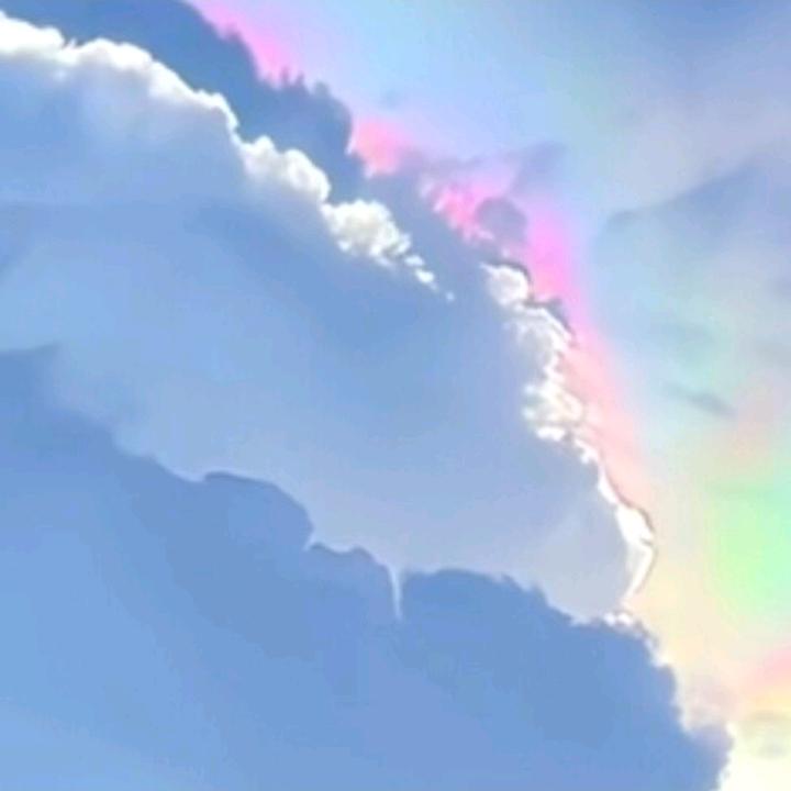 禾乙禾