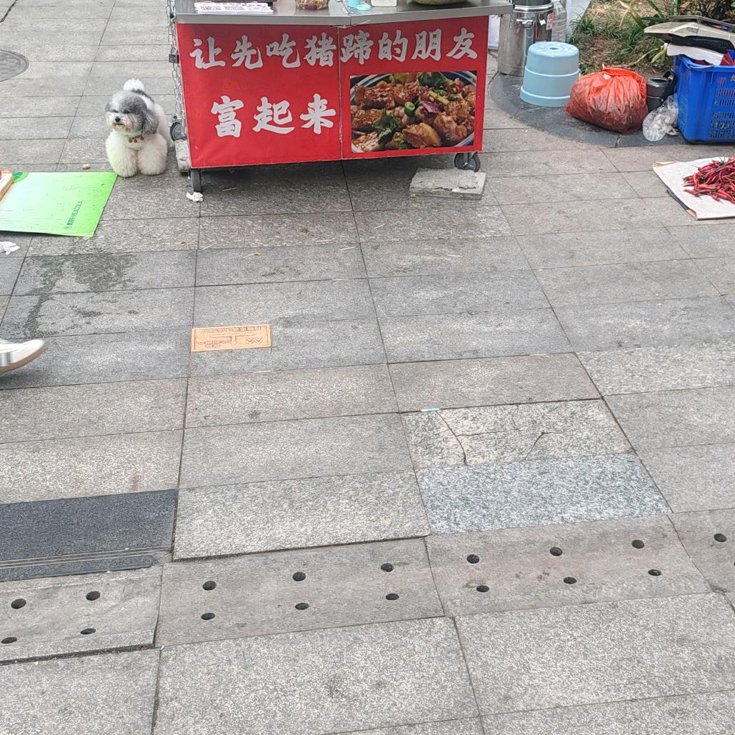 张海波