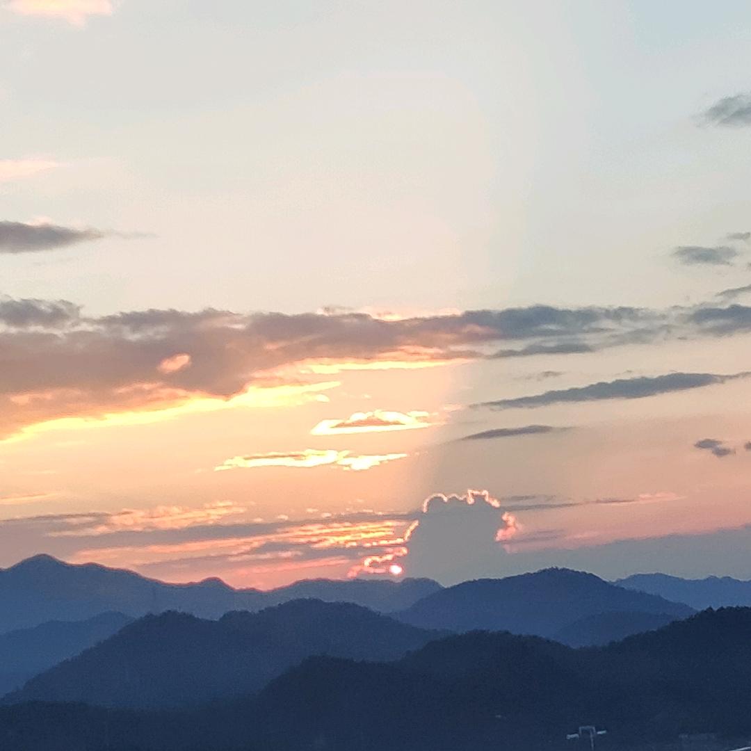 莫让年华付水流