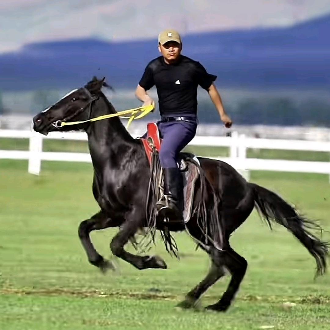 亮