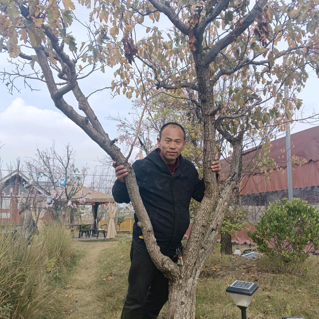 七零后宋哥