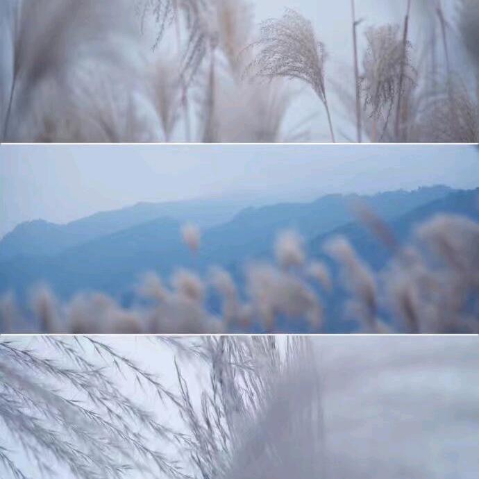 别后自当不再见