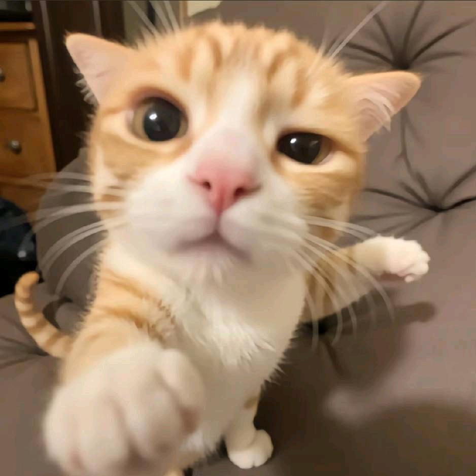 硕鼠