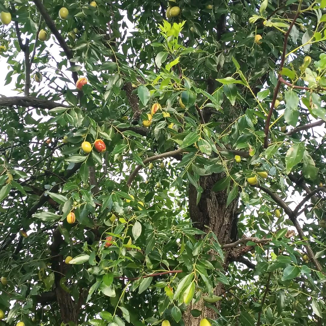 不要叫我