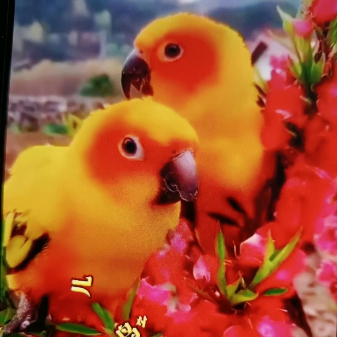 相约抖音