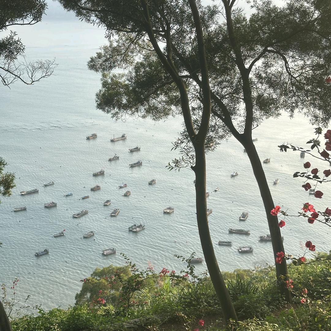 步止旅行🍀