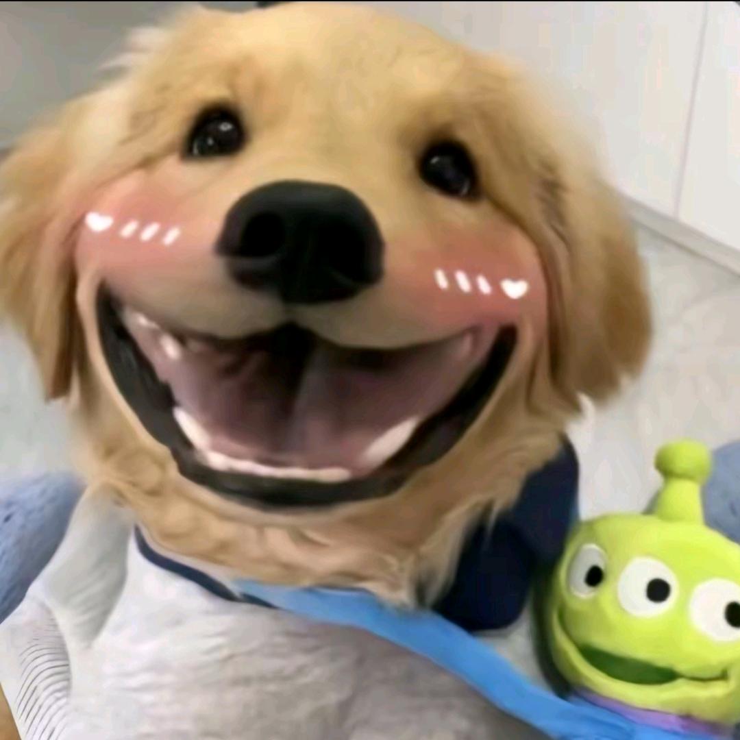 智勇双全皂🧼