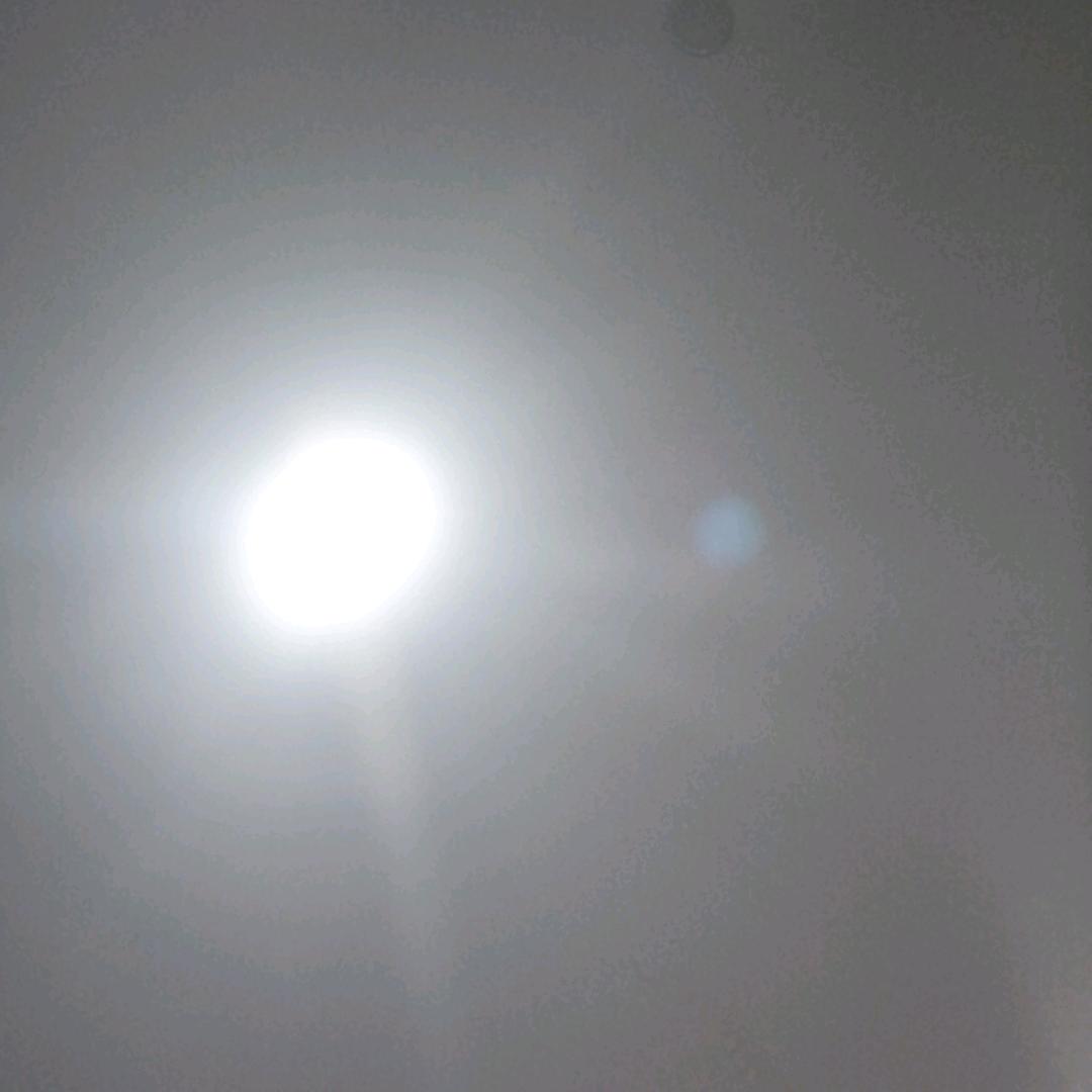 小雪雪雪