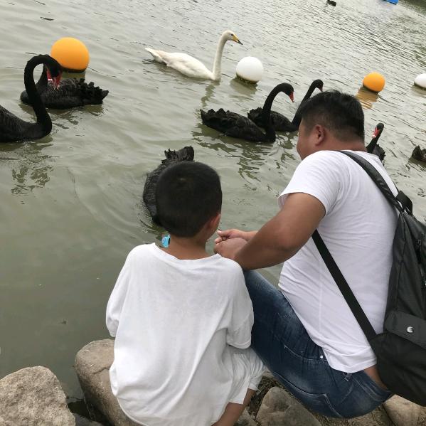 随心