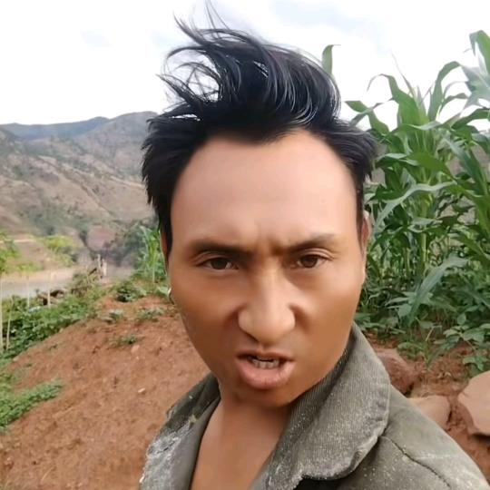 云南黑金刚